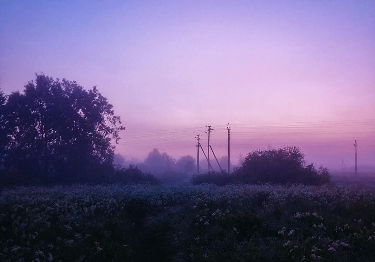 意甲媒体透露：米兰体育总监塔雷准备在冬季窗口期间，引进一名优秀的中锋球员